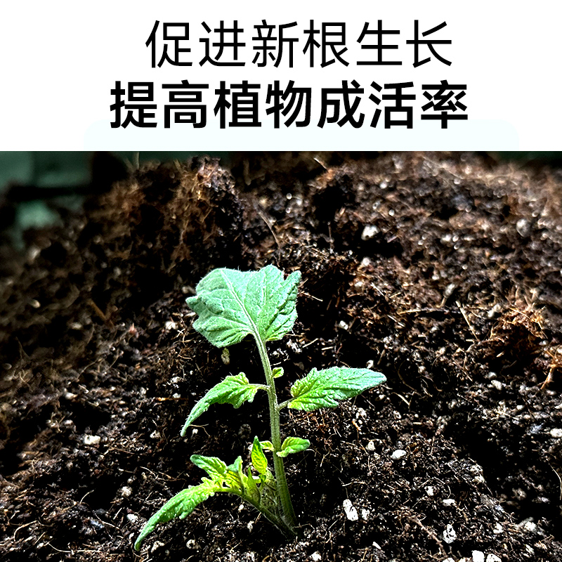 向日葵太陽花陽臺果蔬菜種菜盆花卉養花種植盆種植套裝種子籽_沃納旗艦店_鮮花速遞_花卉仿真_綠植園藝