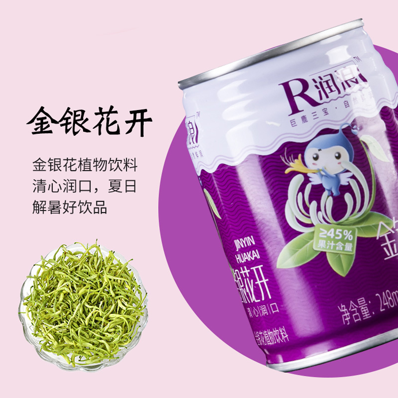 润浪巨鹿三宝枸杞串枝红杏金银花好喝解渴248ml*8灌混合整箱装 - 图0