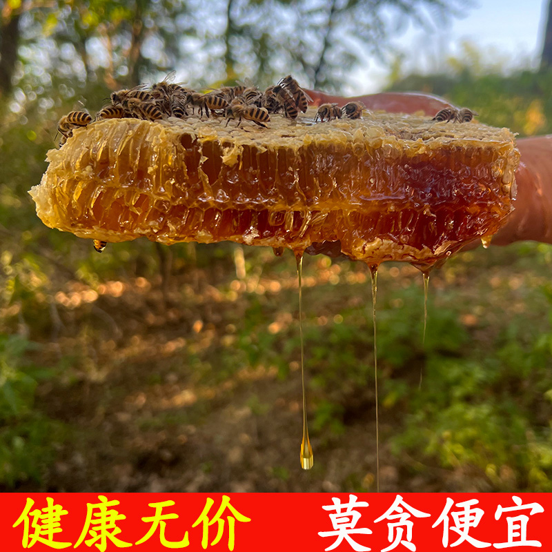土蜂蜜纯正天然木桶成熟农家自产野生无添加正宗秦岭深山百花原蜜