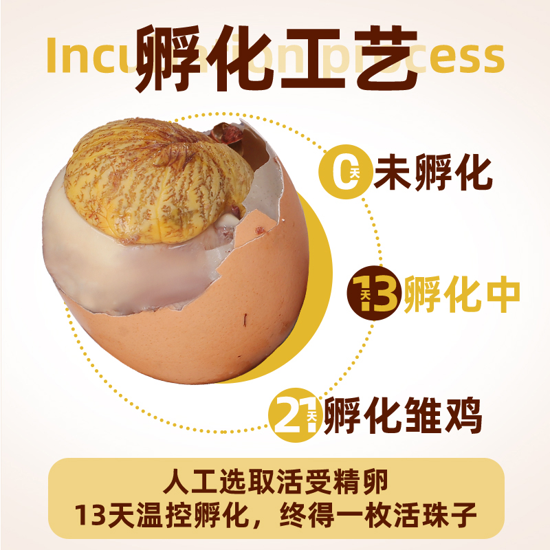 壳逸40枚活珠子新鲜13天毛蛋钢化蛋毛鸡蛋五香味开袋即食钢化蛋熟-图1