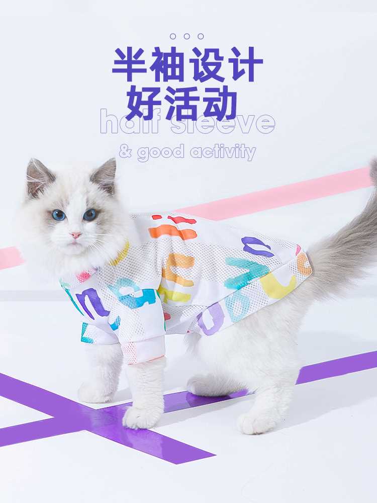 猫咪衣服秋装防掉毛轻薄背心英短布偶夏季防脱毛小猫宠物猫猫薄款 - 图3