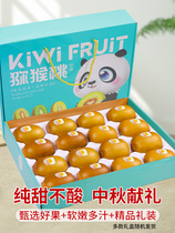 Selection of gift boxes Sichuan Yellow Heart kiwi fruit Fresh Extra-fruity Fruit Kiwi Fruit Macaque Peach Season the whole box