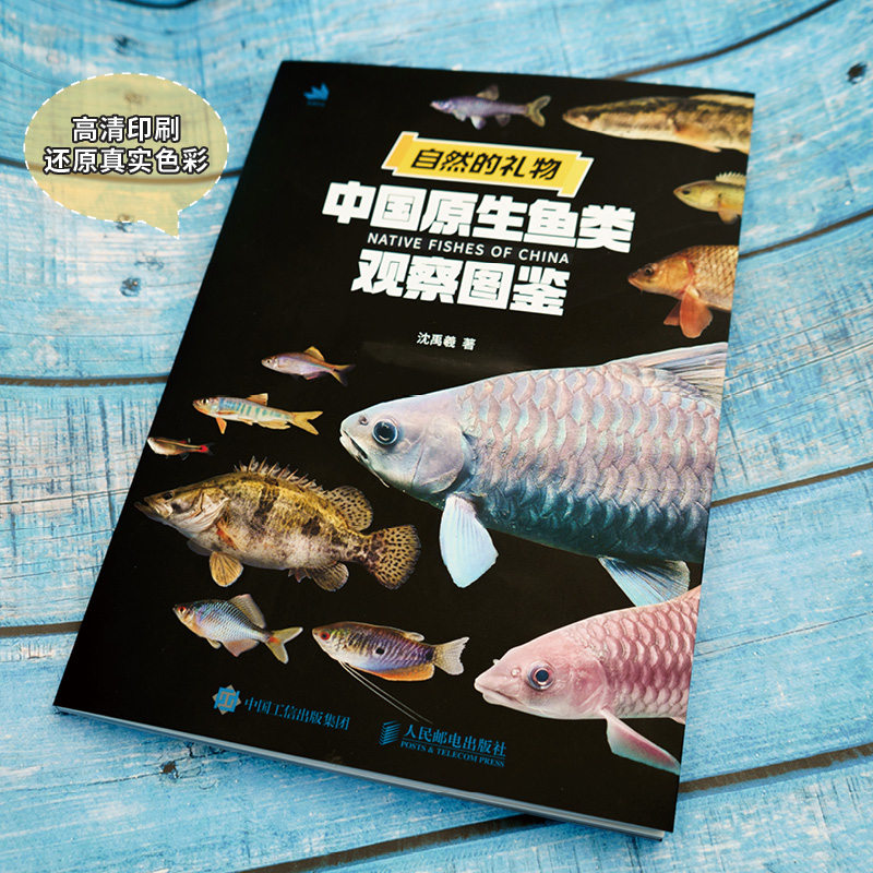 图5