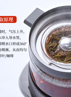 迈丰茶咖机纯钛自动上水煮茶器养生壶萃茶机煮咖啡茶室汩隐艾玛诗