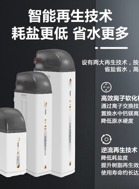 软化水垢中央软水机奔泰离子置换