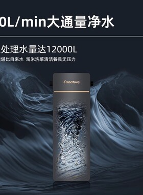 12000L大流量过滤泥沙净水机奔泰