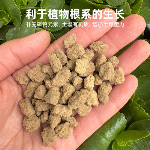 日本进口硬质赤玉土三本线小颗粒盆景专用爬宠铺面纯赤玉土大包装 - 图1