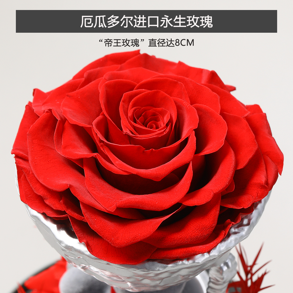 Rosekiss玫瑰永生花告白熊情人节礼盒花束新年送女生朋友生日礼物-图2