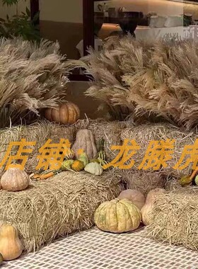 秋季干草垛装饰露营打卡稻草垛