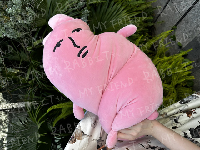 Pink rabbit MyFriend original plush pillow doll on the bed in the doll super sand sculpture couple birthday gift