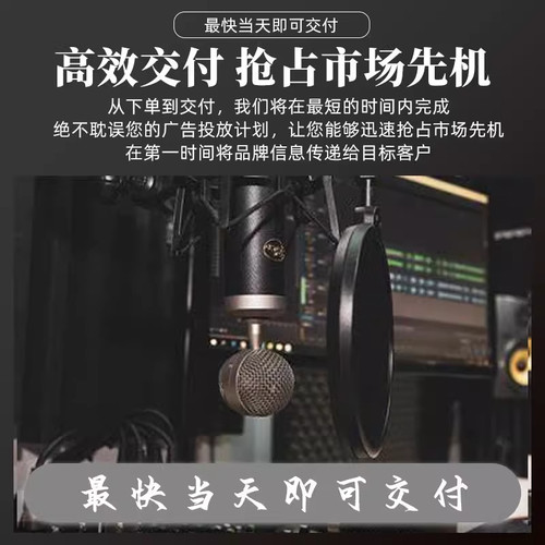 广告录音U盘内存卡定制男女声专业配音真人语音叫卖促销活动摆摊 - 图1