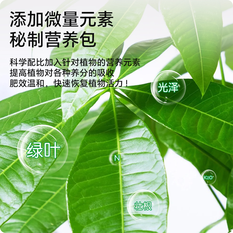 新洋丰发财树专用植物营养液通用型室内盆栽绿植花卉水培家用肥料 - 图1