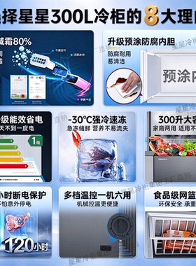 星星300升大冰柜大容量超耐用