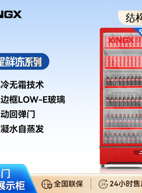 单门大展示柜餐厅酒店便利店首选