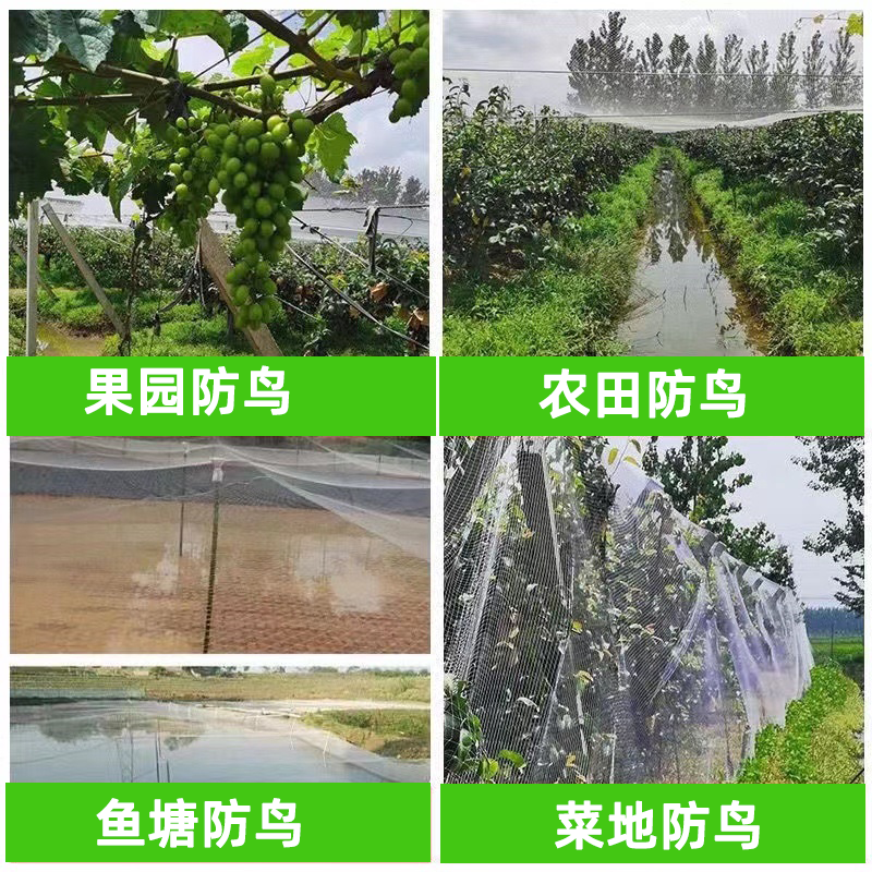 尼龙防鸟网果树果园大棚防护网樱桃树葡萄树鱼塘养殖阳台防鸟神器-图0