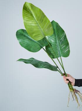 仿真绿植龟背叶鸟巢蕨百合叶微景观造景样板间软装盆栽假植物装饰