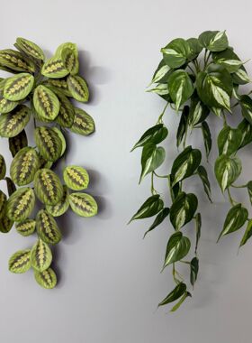 森系绿植壁挂3D手感竹芋叶龟背叶壁挂园林软装装饰假花绿萝叶盆栽