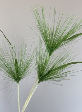 仿真绿植芦荨草龙须草喷泉草ins风婚庆花材森系花艺芦苇造景装饰