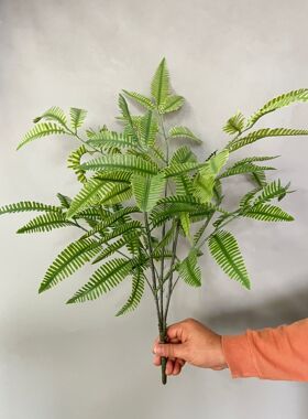 自然仿真绿植叶子大枝芒蕨叶家居装饰植物插花植物墙配材波士顿蕨