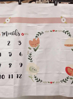 Baby Milestone Background Photo Blanket Infant Photography B
