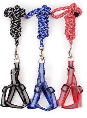 Reflective Pet Dog Collar Leash Dog Harness for Small