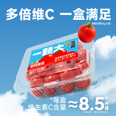 散粒樱桃番茄一颗大新鲜自然熟