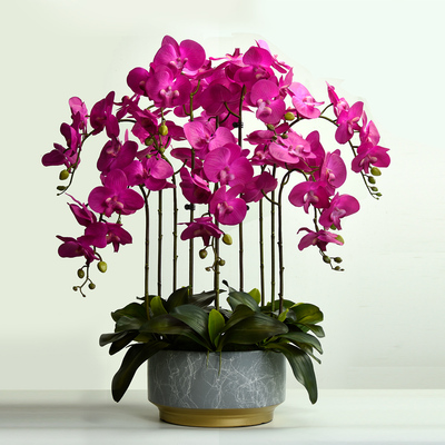 蝴蝶兰仿真花高档手感兰花假花盆栽玄关客厅餐桌前台装饰花艺摆件