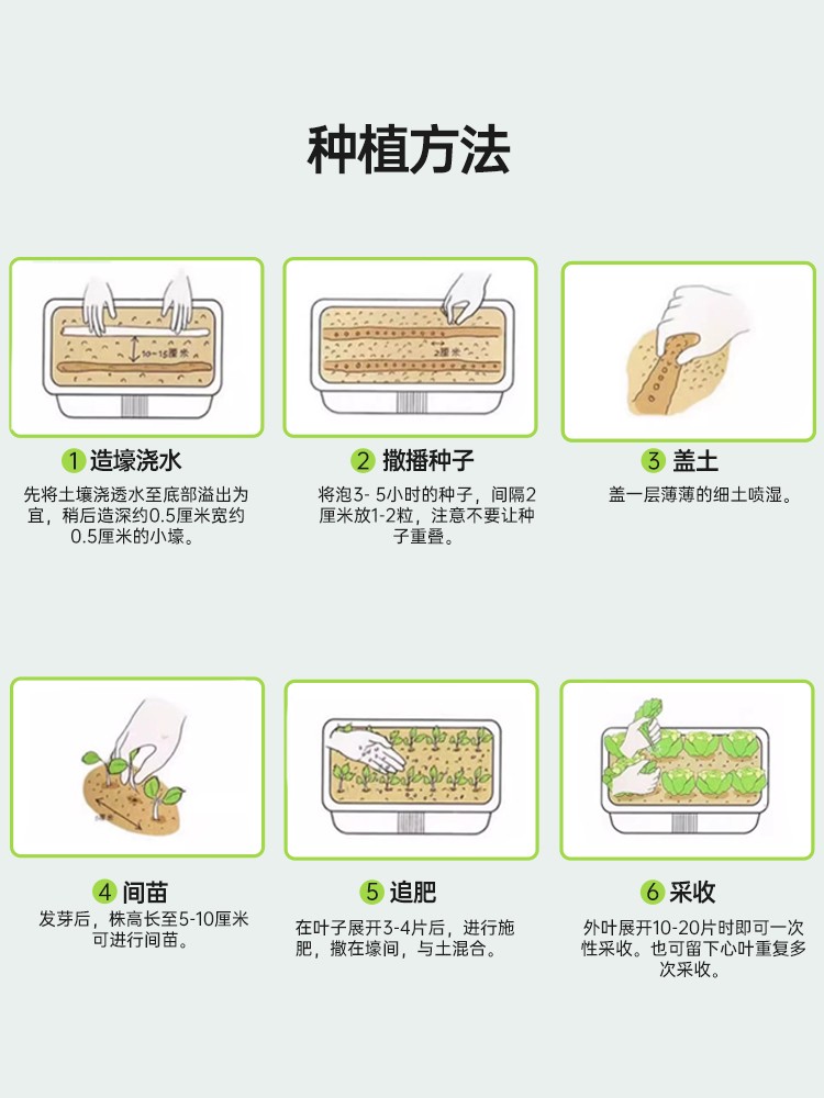 家庭小菜园种子学生种植花果蔬菜种子阳台家庭种植 - 图2