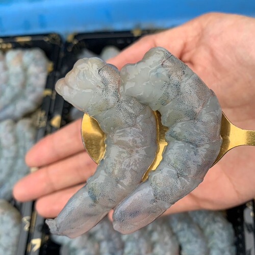 手剥大虾仁无冰衣不泡药无添加超大海虾仁活虾加工青虾仁去虾线 - 图3