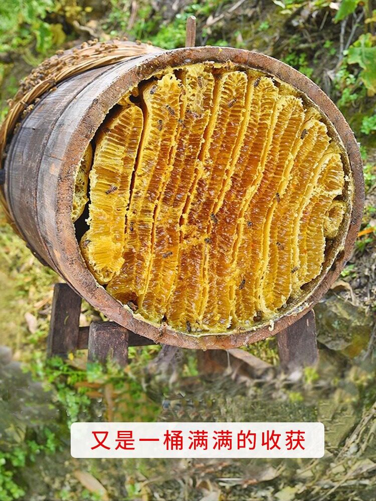  万代御膳蜂蜜