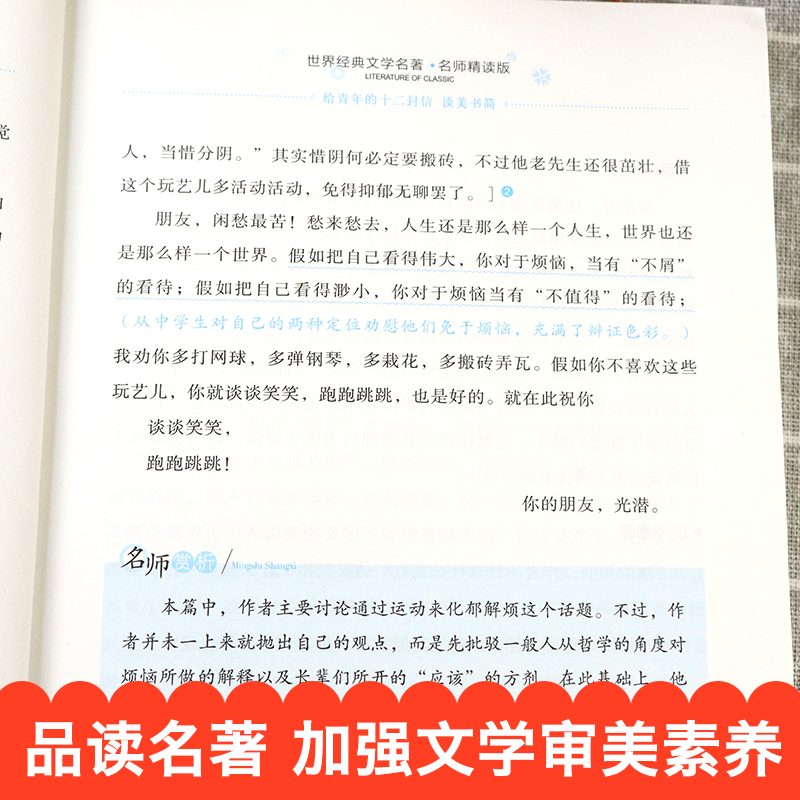 给青年的十二封信朱光潜谈美书简 八年级下册必读名著老师世界经典短篇小说集 初中生课外阅读书籍8年级下学期书目青少年读物 - 图2