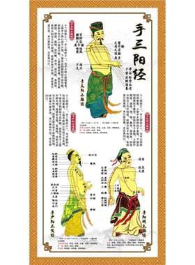 针灸人体经络穴位图穴位病症对照图墙贴中医养生大挂图足三阳经图