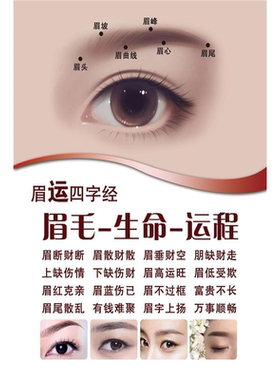 美容院眉眼唇半永久纹绣眉毛四字经生命运程宣传贴画海报展板图