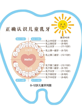 牙科诊所儿童换牙顺序图贴画牙科宣传海报爱牙日墙贴海报装饰画牙
