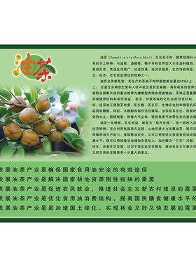 油茶产业发展的必要性海报展板油茶浓郁飘香墙贴墙纸装饰画KT板
