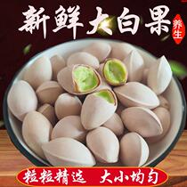 White Fruits Fresh Gingko Fruits 2023 New Goods Yunnan TenChong Gingko Village Ancient Trees Old Varieties Sticky Glutinous 500g