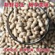 New arrival, fried multi-flavor small pearl peanuts