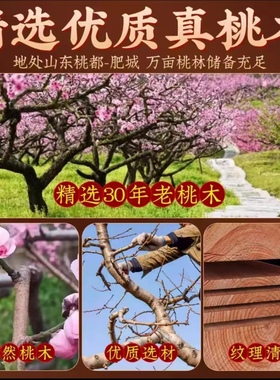 桃木葫芦挂件五帝钱九五之至尊入户门对门帘铜钱葫芦串吉祥挂饰