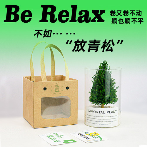 放青松办公室桌面绿植工位解压神器稳定情绪花卉室内植物生日礼品 - 图0