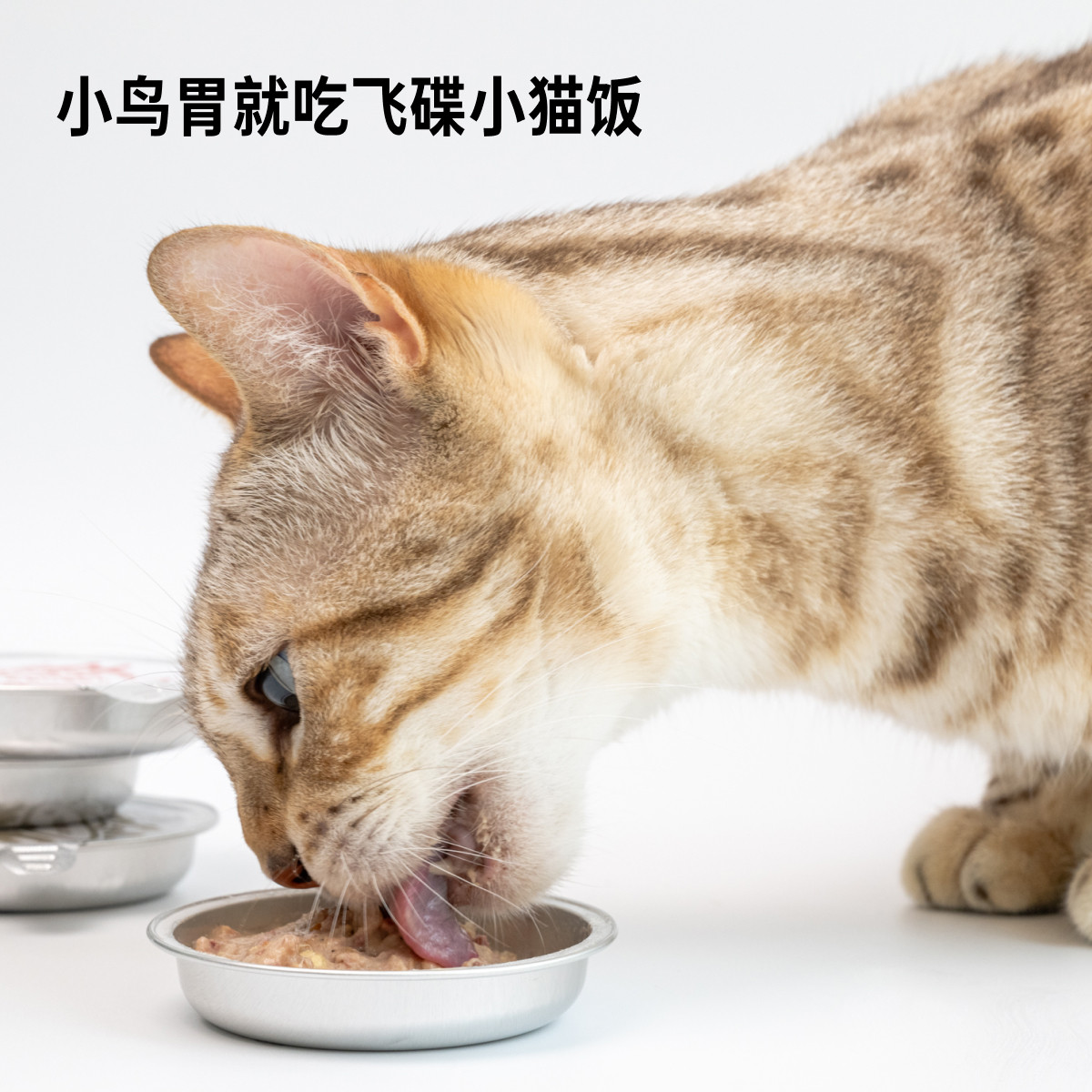 猫厨狗灶全价飞碟猫饭湿粮熟自制猫咪零食罐头发腮成猫幼混合口味,淘宝优惠券,粉丝福利购,淘宝优惠卷