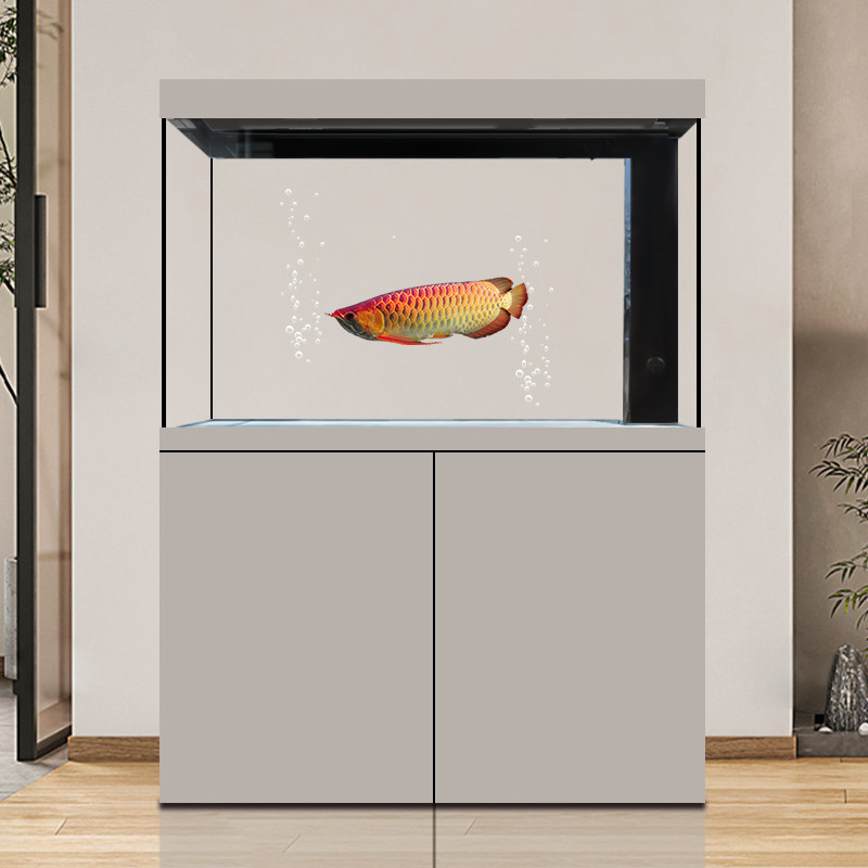 迪顺水族鱼缸客厅大型底滤超白免换水水族箱落地家用2025年新款,淘宝优惠券,粉丝福利购,淘宝优惠卷