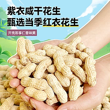 龙岩湿烤紫衣红衣花生2斤装[10元优惠券]-寻折猪