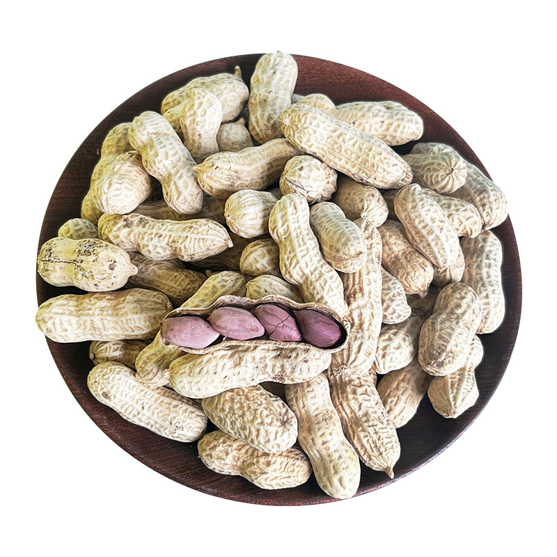 500g装龙岩湿烤花生农家特产香仁美味咸干带壳熟营地聚会紫衣花生