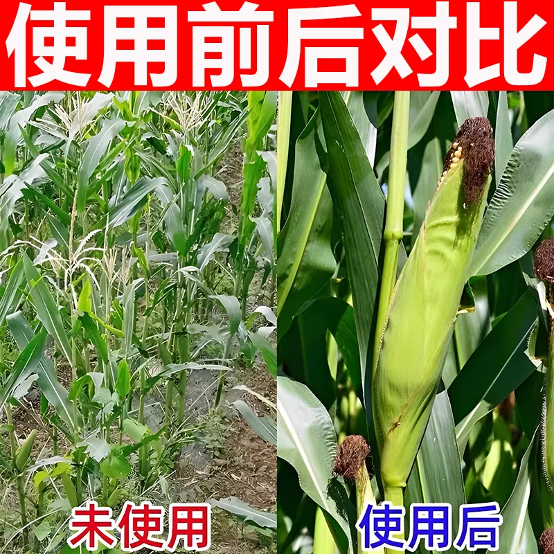 玉米专用杀虫剂药玉米螟虫钻心虫蚜虫蓟马黏虫粘虫蝗虫螨打玉米虫-图1