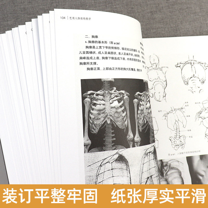 艺用人体结构教学胡国强编人体绘画经典教材教程素描几何形体大师临摹造型人物解剖手绘漫画工具书参考指南畅销书广西美术出版_虎窝淘