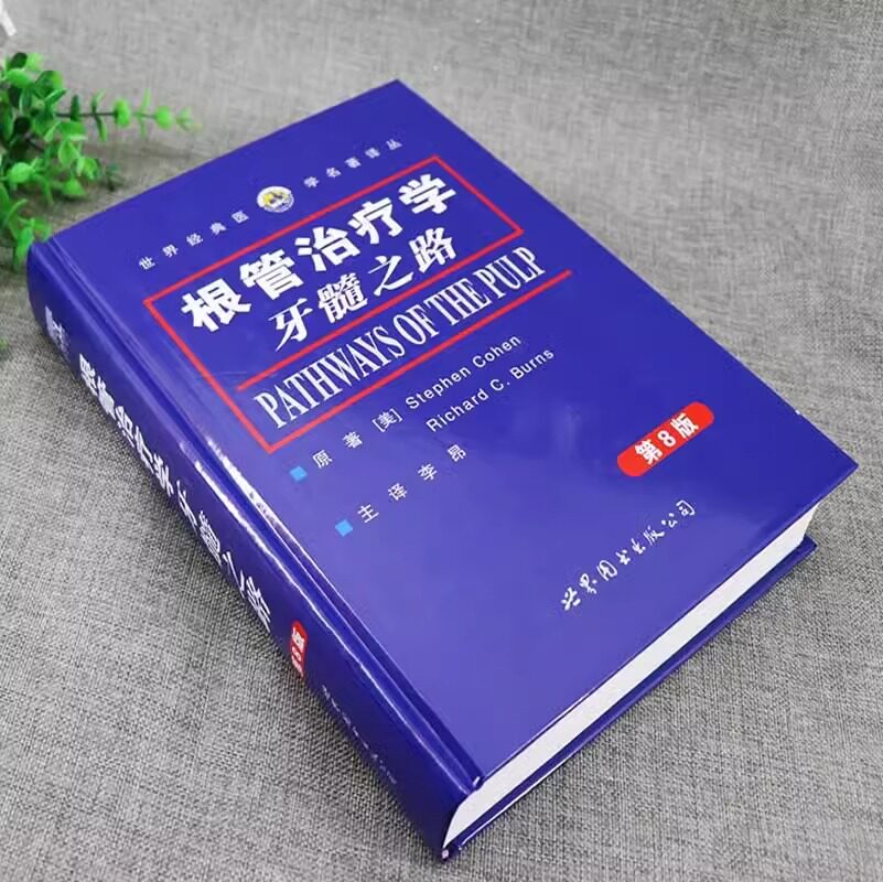 根管治疗学牙髓之路(第8版)柯恩,伯恩斯著李昂译牙体牙髓病学口腔颌面牙齿根管诊疗技术根管治疗图谱口腔医学书籍世界图书出版公司