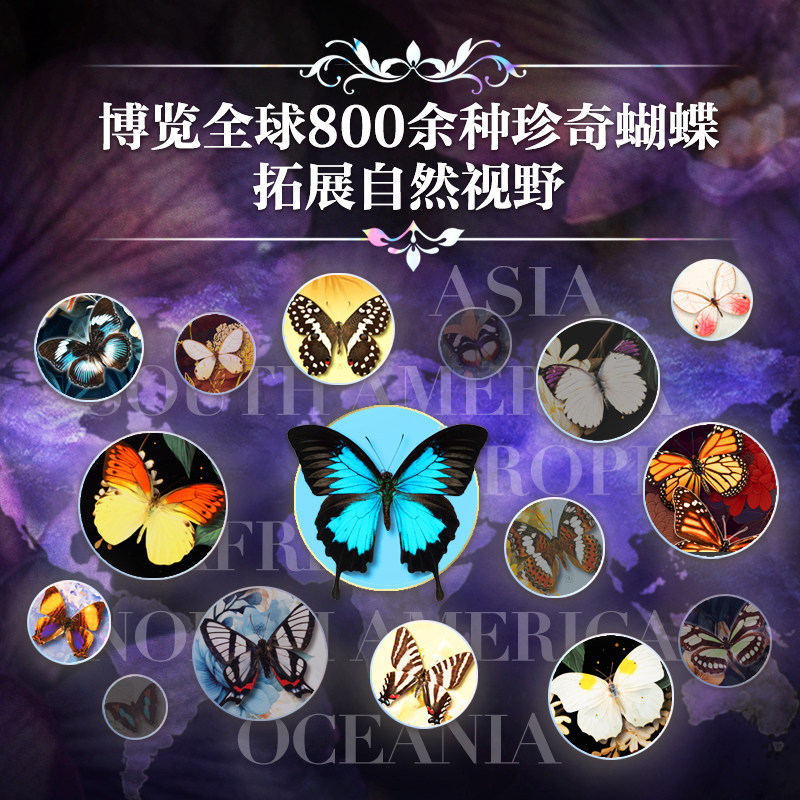 【正版新书】世界蝴蝶全书刷边版 800多种珍奇蝴蝶 蝴蝶百科全书科普书籍 野外蝴蝶品种分类科普读物鉴赏 有书至美