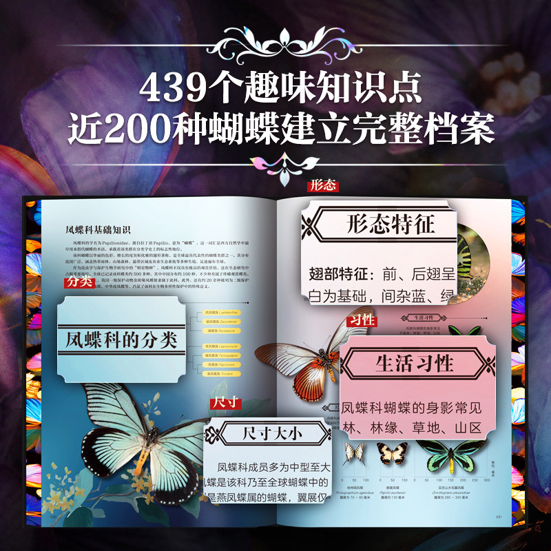 【正版新书】世界蝴蝶全书刷边版 800多种珍奇蝴蝶 蝴蝶百科全书科普书籍 野外蝴蝶品种分类科普读物鉴赏 有书至美