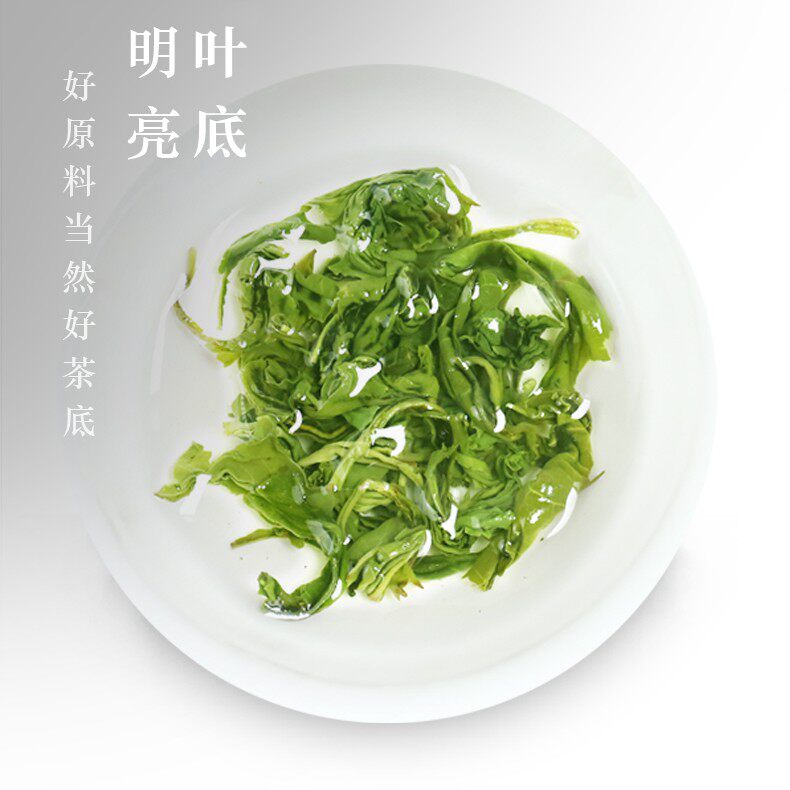 2022高山炒青日照特级贵州500g绿茶 春馥堂其它绿茶