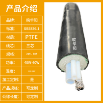 Flue gas sampling companion heat pipe P 1-φ 8 * 6-1 phi 6 * 4-60W-P6 5-D42 CEMS sampling pipe constant power